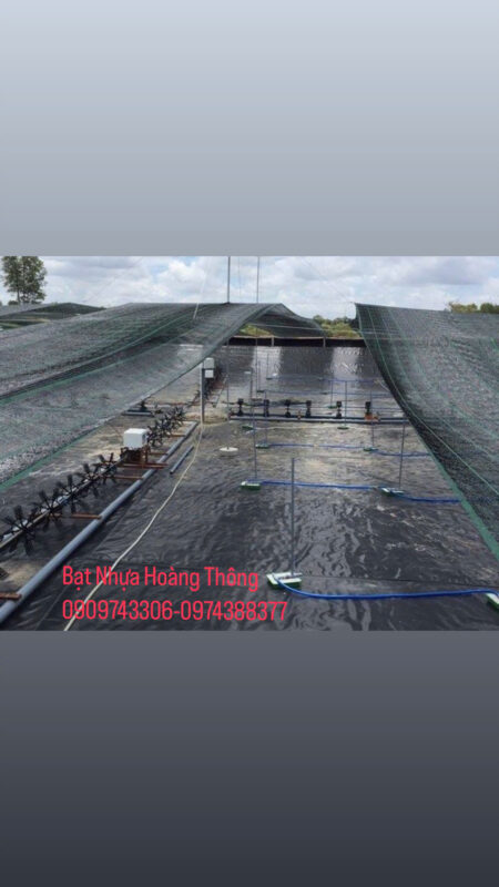 M&aacute;i Hi&ecirc;n – M&aacute;i Xếp Ho&agrave;ng Th&ocirc;ng